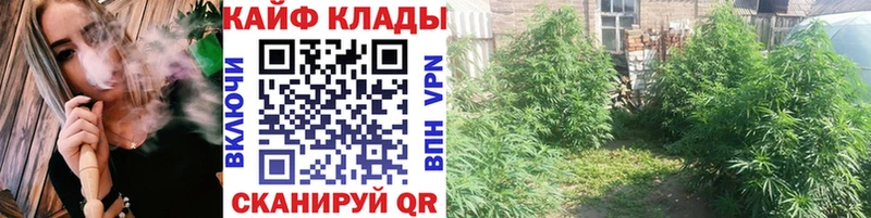 Наркота Городец Кокаин  Меф  NBOMe  Канабис  Псилоцибиновые грибы  Гашиш  A PVP 