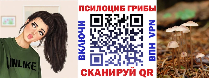 kraken как войти  Городец  Псилоцибиновые грибы ЛСД 