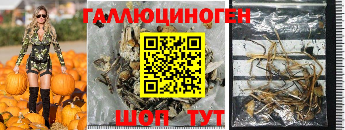 Галлюциногенные грибы ЛСД  Галлюциногенные грибы Cubensis  Городец  Вход с VPN 