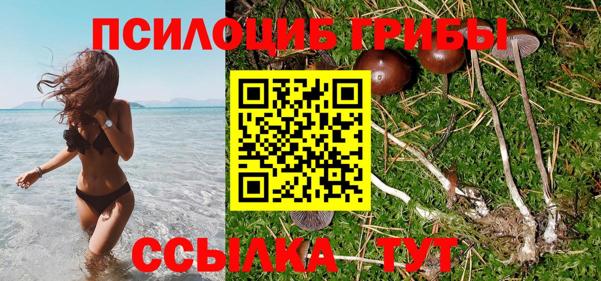 Псилоцибиновые грибы мицелий Городец